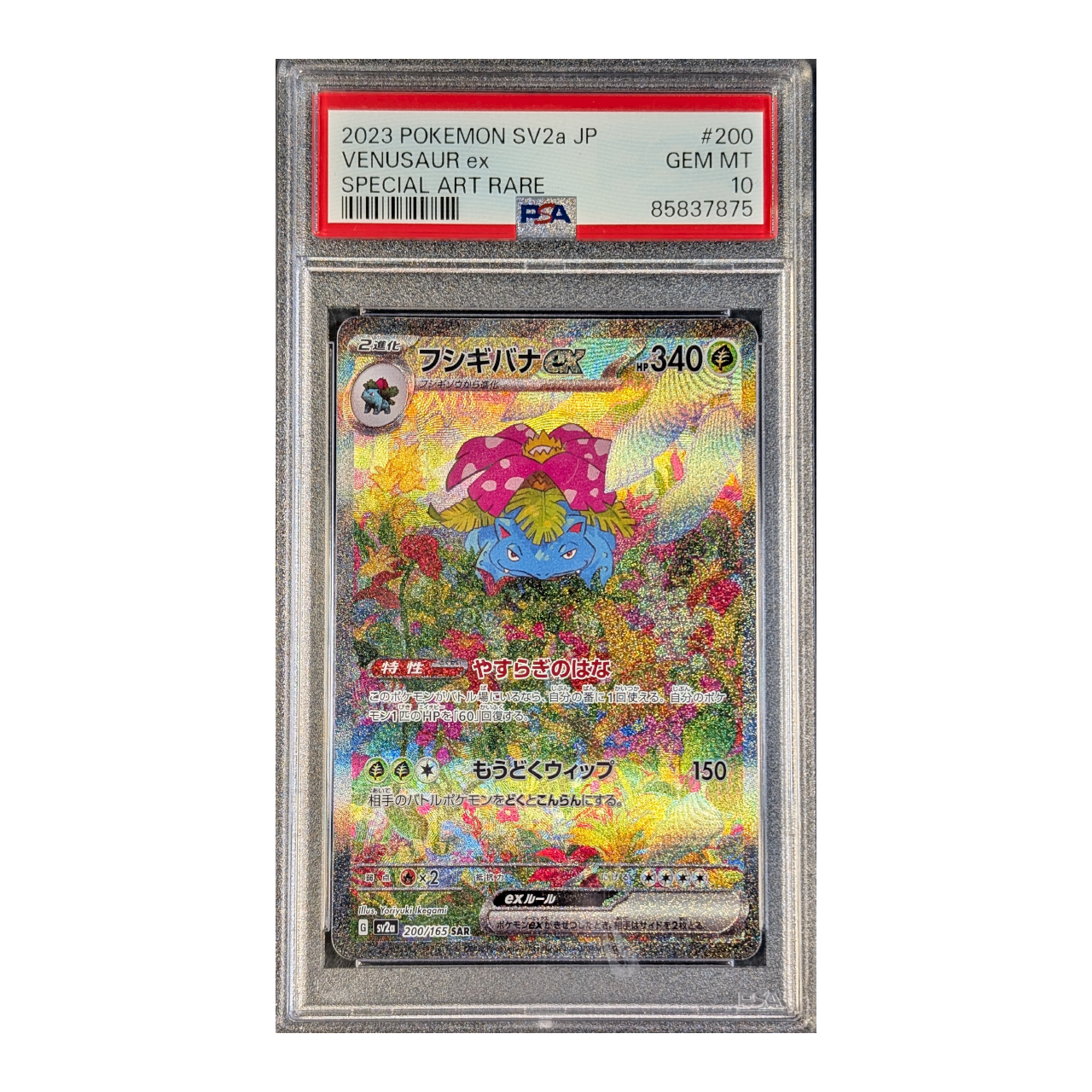 slabs-lower-mb_0004_venesaur-200-jp-10.png PSA 10 GEM MT: Venusaur ex 151 200 (Japans) - Afbeelding 1