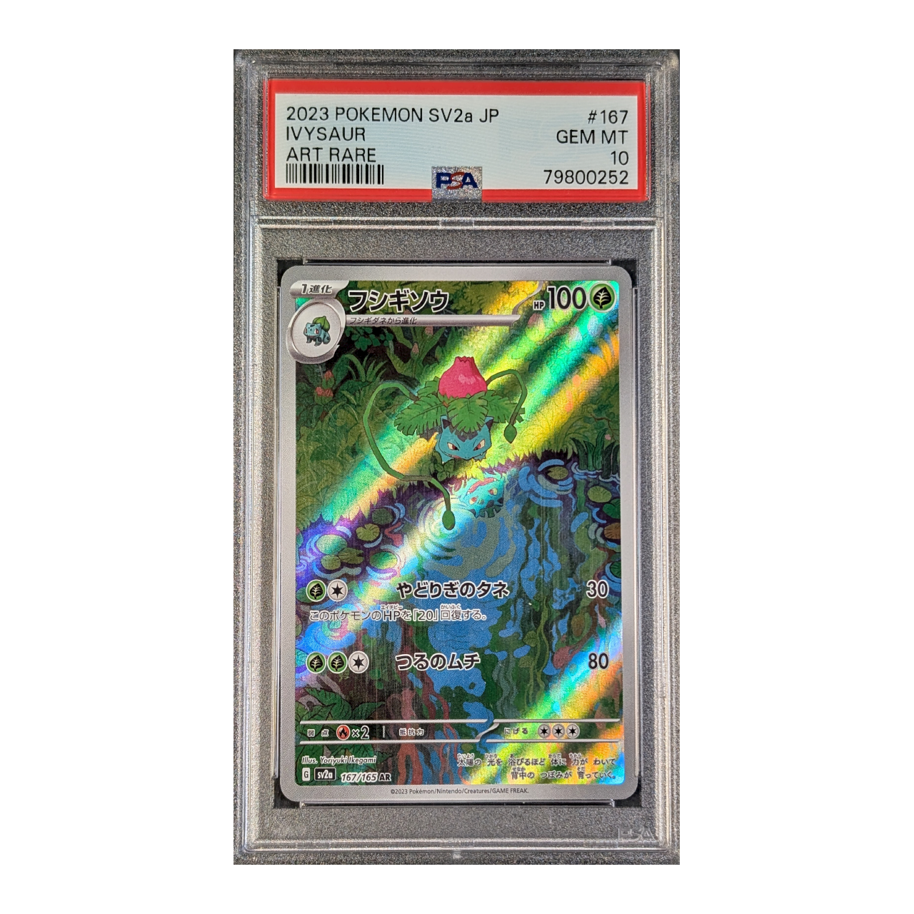 slabs-lower-mb_0021_ivysaur-167-jp-10.png PSA 10 GEM MT: Ivysaur 151 167 (Japans) - Afbeelding 1